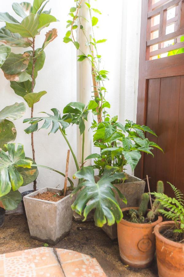 The Little Siri Chiang Mai Exterior foto